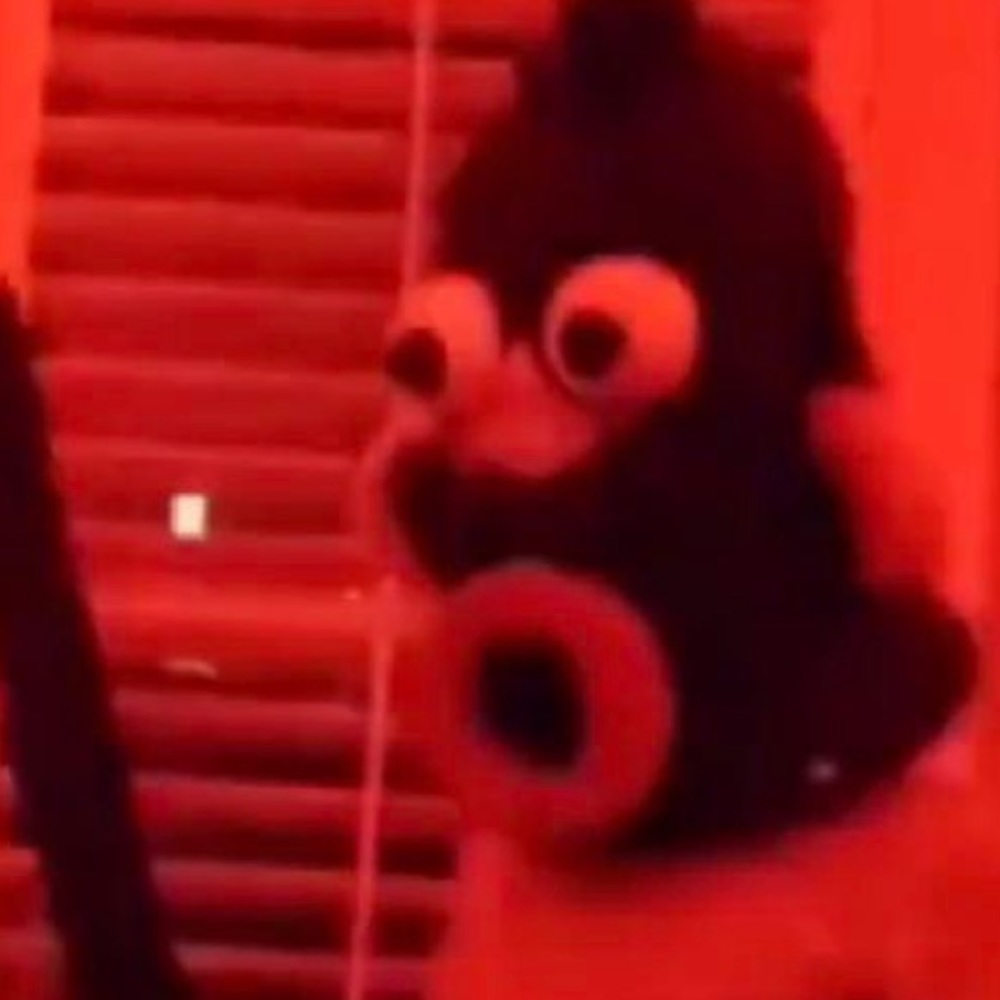 Meet your Posher, Kiehlen